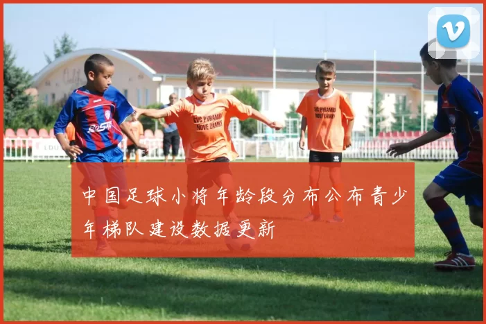 中国足球小将年龄段分布公布青少年梯队建设数据更新