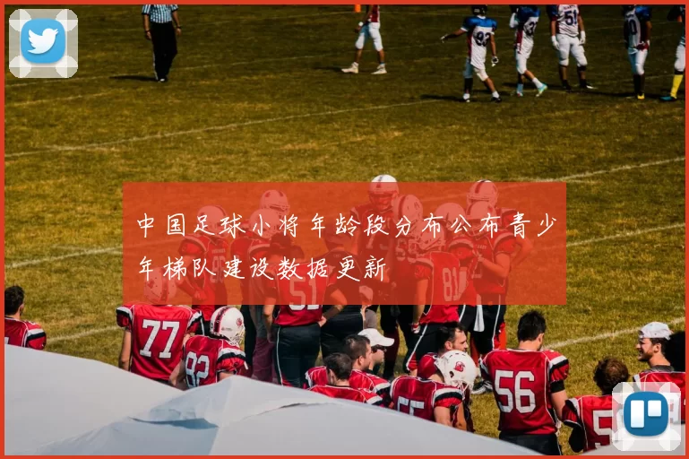 中国足球小将年龄段分布公布青少年梯队建设数据更新