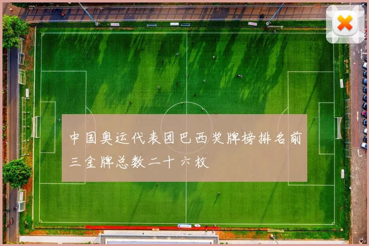 中国奥运代表团巴西奖牌榜排名前三金牌总数二十六枚