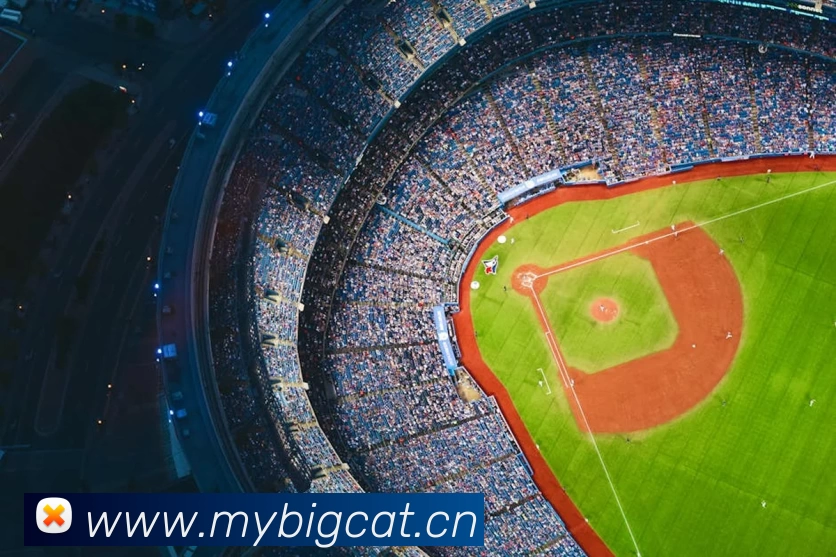 196体育最新官方网站下载(中国) - 官方网站发展历程